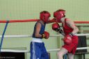 IMG_2981.jpg