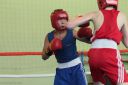 IMG_2988.jpg