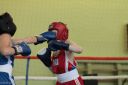 IMG_6663.jpg