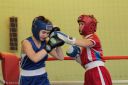 IMG_6865.jpg