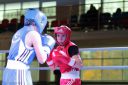 IMG_20171013_051.jpg