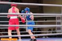 IMG_20181130_0059.jpg
