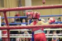 IMG_1003~0.jpg
