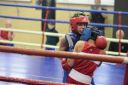 IMG_1194.jpg