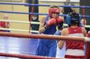 IMG_1199.jpg