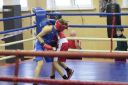 IMG_1242.jpg
