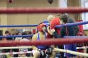 IMG_1464~0.jpg