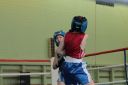 IMG_1563~0.jpg