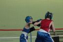 IMG_1587.jpg