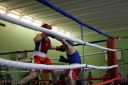 IMG_1595.jpg