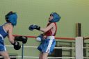 IMG_1650.jpg