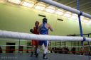 IMG_1732.jpg