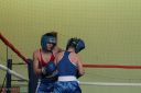IMG_1915.jpg
