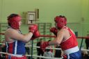 IMG_2287.jpg