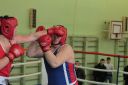 IMG_2292.jpg