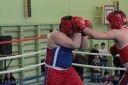 IMG_2366.jpg