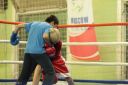 IMG_2950.jpg