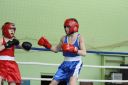 IMG_2989.jpg
