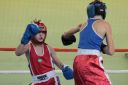 IMG_3525~0.jpg