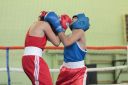 IMG_3740.jpg