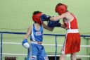 Имя файла=IMG_3805.jpg
Размер файла=281КБ
Размеры=1620x1080
Дата=Нояб 02, 2012 IMG_3805.jpg