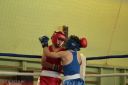 IMG_4388.jpg