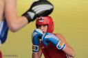 IMG_5295.jpg