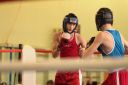 IMG_5350.jpg