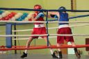 IMG_5482.jpg