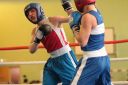 IMG_5540.jpg