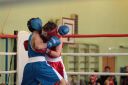 IMG_5950.jpg