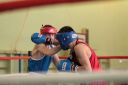 IMG_5984.jpg