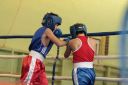 IMG_6894.jpg