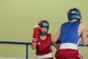 IMG_7323.jpg