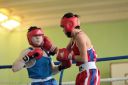 IMG_7956.jpg