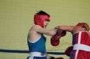 IMG_7981.jpg