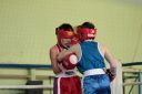 IMG_7990.jpg