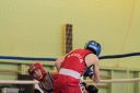 IMG_8382.jpg