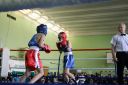 IMG_8495.jpg