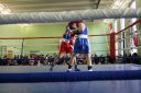 IMG_8517.jpg