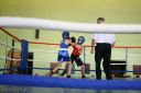 IMG_8661.jpg