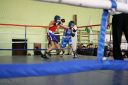 IMG_8886.jpg