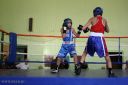 IMG_8892.jpg