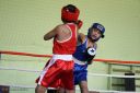 IMG_9102.jpg