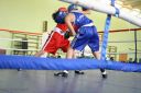 IMG_9377.jpg